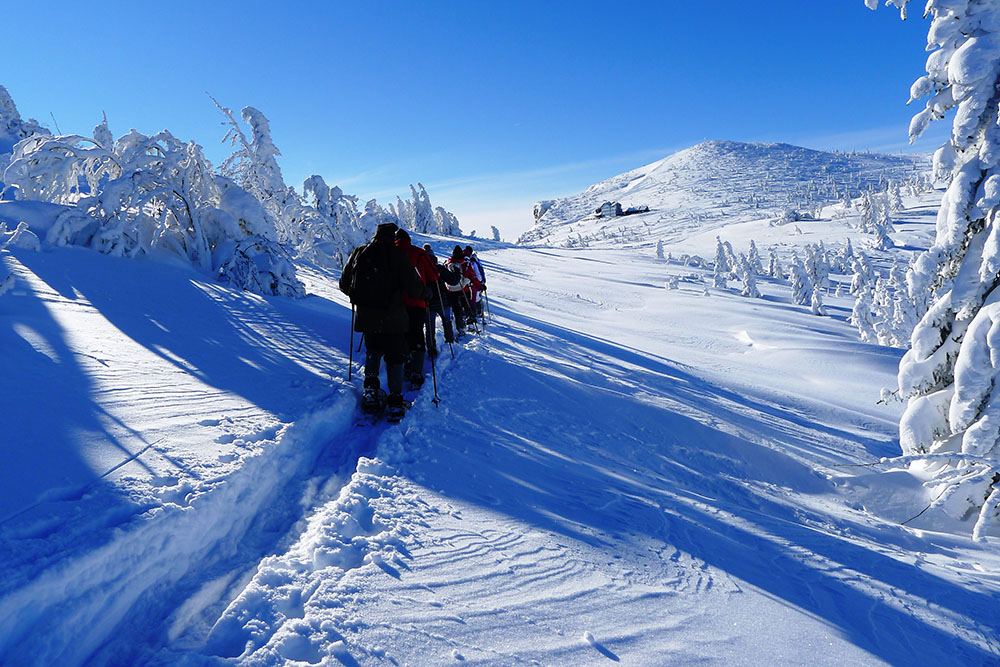 Schneeschuhwandergruppe Richtung Ottohaus und Jakobskogel