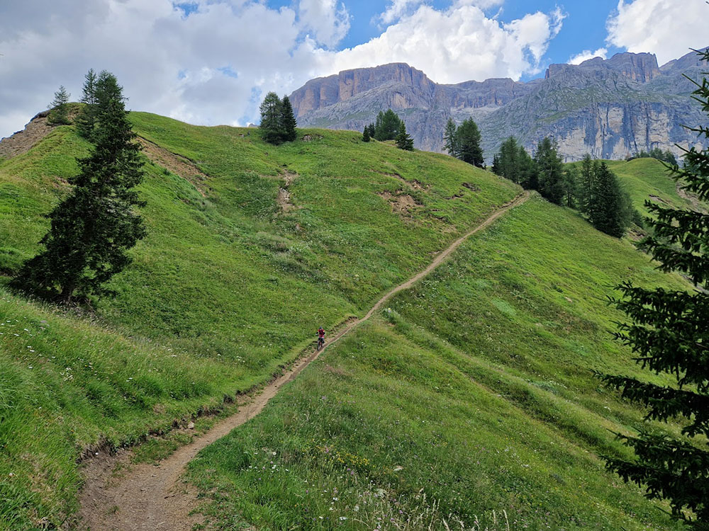 mountainbiker-langer-wiesen-trail-arabba