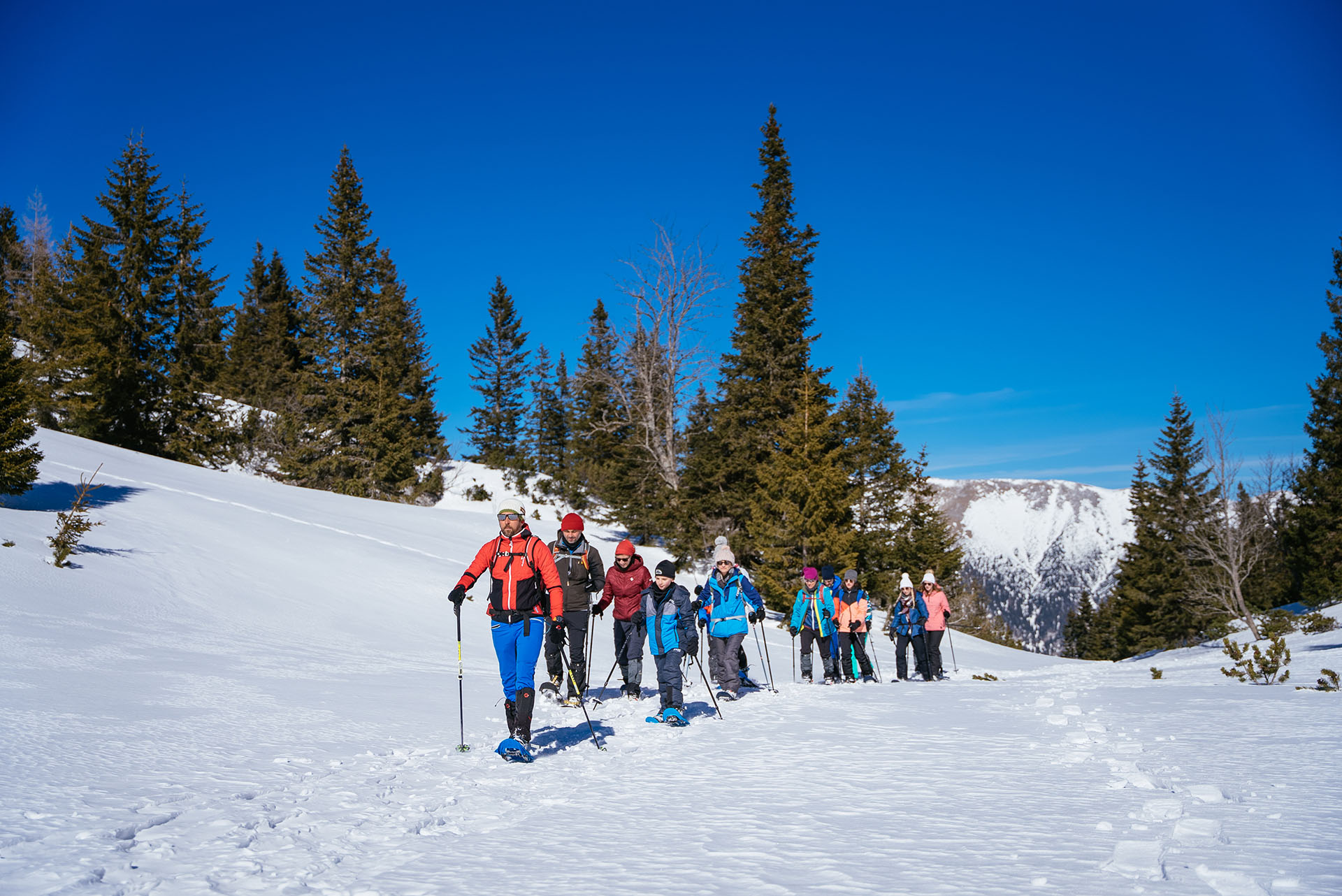 Gruppe Schneeschuhwandern mit Bergwanderführer am Raxplateau